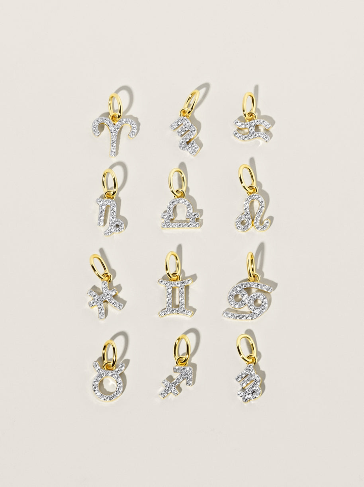 Zodiac Charms
