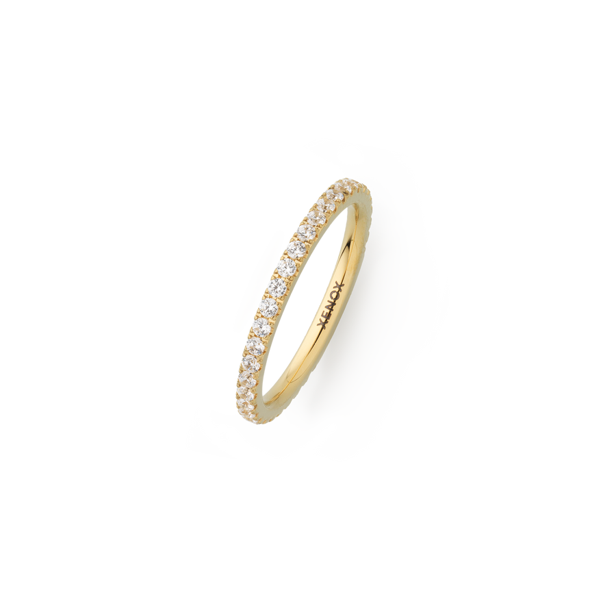 1X2300G/48?X2300G.png|goldfarben
