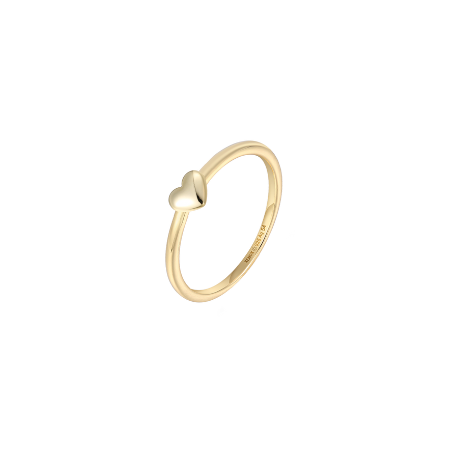 1XS10060G/50?XS10060G.png|goldfarben 