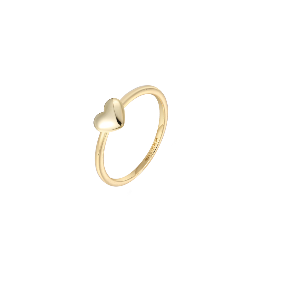 1XS10061G/50?XS10061G.png|goldfarben 