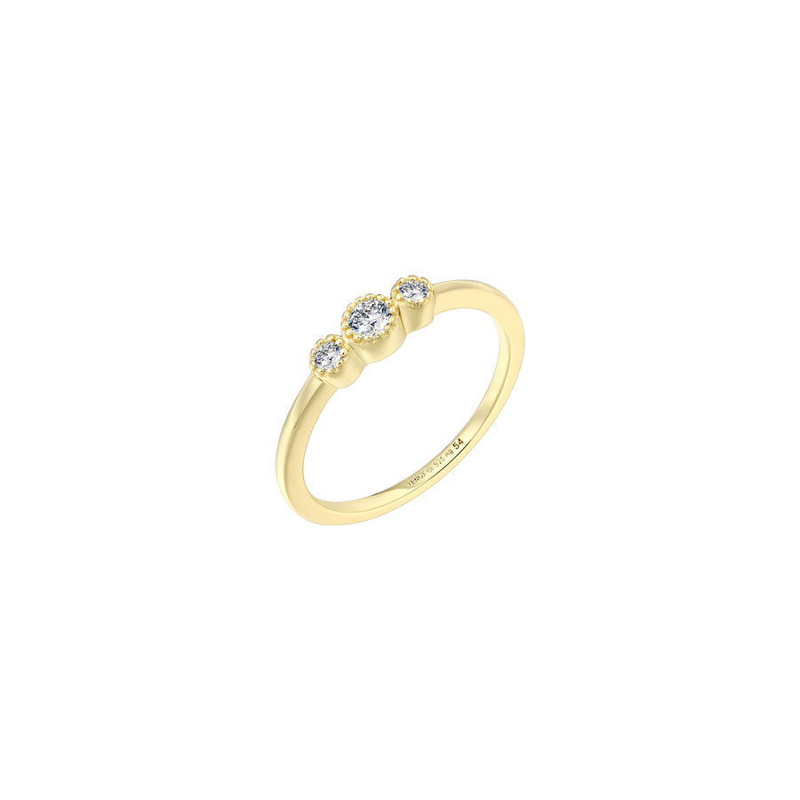 1XS10613G/50?XS10613G.png|goldfarben