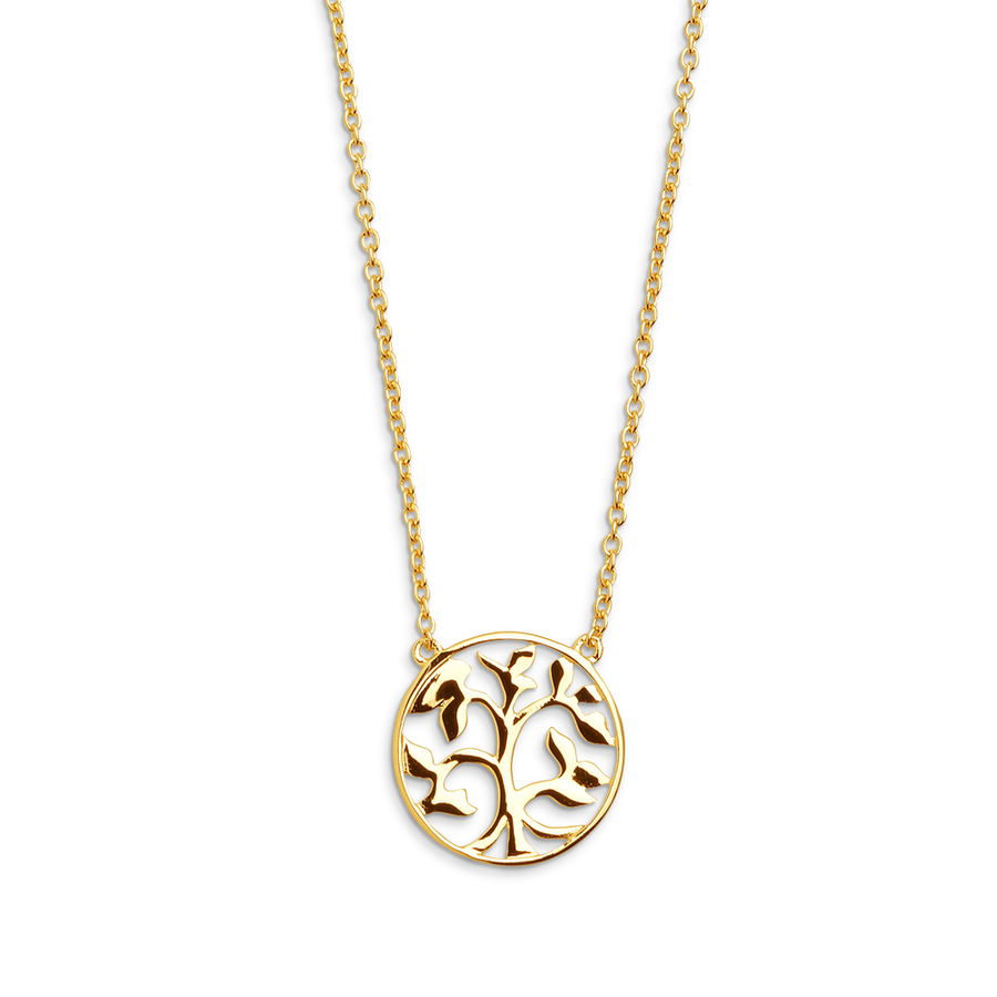 1XS2896G?XS2896G.png|goldfarben