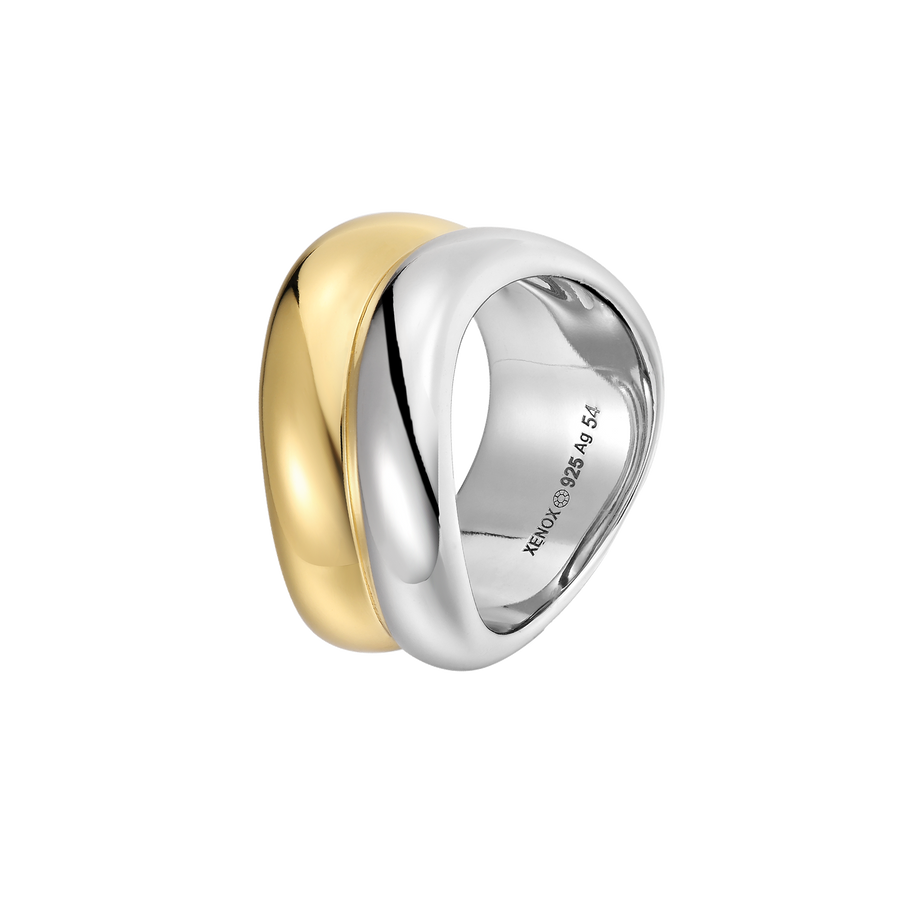 1XS91659V?XS91659GW.png|gold/silberfarben
